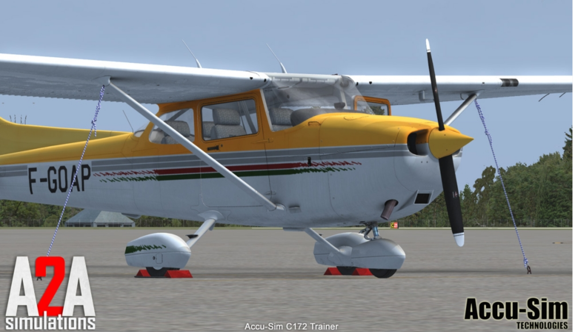 Cessna 172 Flight Simulator X SimuCheck